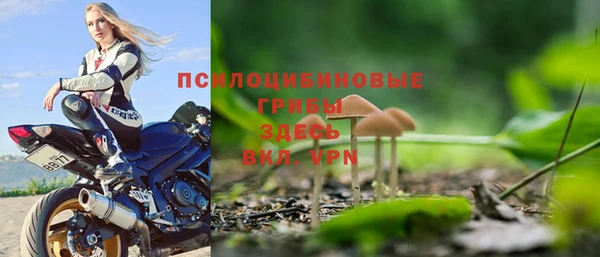 альфа пвп Богородицк