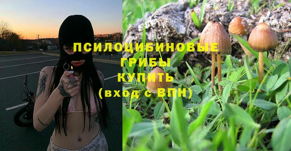 альфа пвп Богородицк