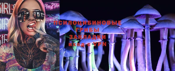 прущая мука Богданович